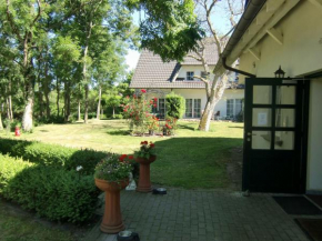 Auszeit auf Rügen, Lohme